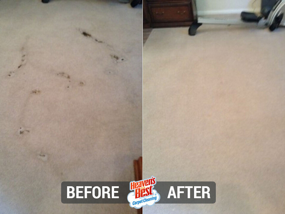 Heaven's Best Carpet Cleaning of Tabernash